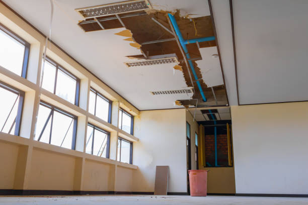 Best Water damage restoration near me  in Nice, CA