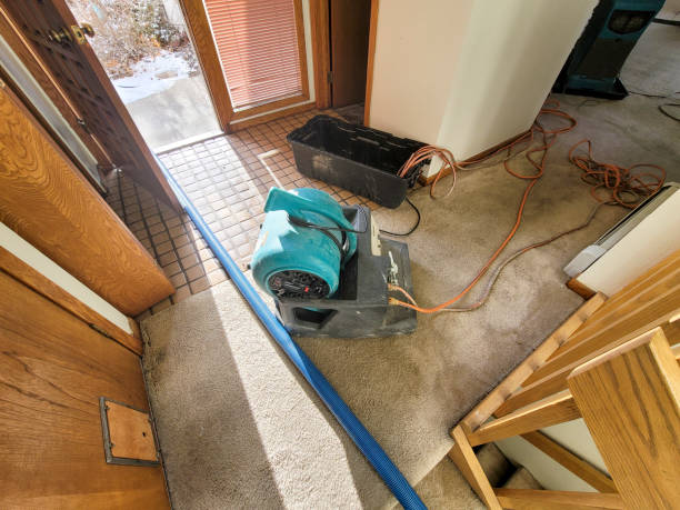 Nice, CA Water damage restoration Company