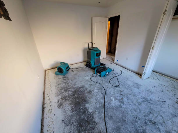 Best Mold removal after water damage  in Nice, CA