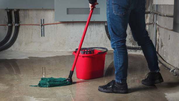 Best Fire Damage Restoration  in Nice, CA