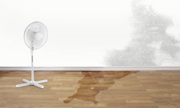 Best Residential water damage restoration  in Nice, CA