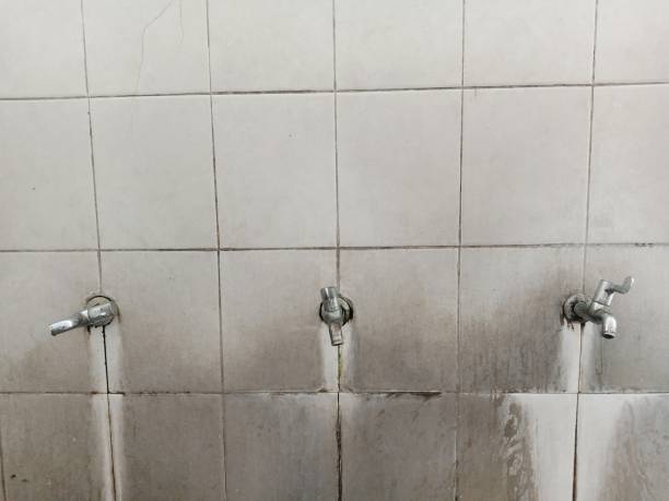 Best Water damage contractors near me  in Nice, CA