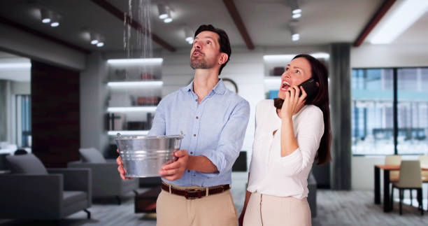 Best Ceiling water damage repair  in Nice, CA