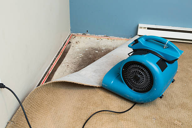 Water damage restoration process in Nice, CA